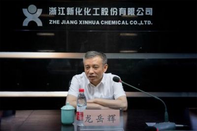 省税务局党委书记、副局长龙岳辉莅临公司调研